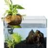 filtre cascade d'aquaponie pour nano aquarium cocoplant