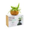 cocogarden filtre aquaponie pour aquarium de moins de 10 litres