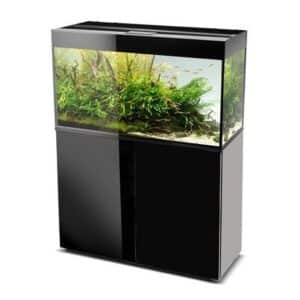 aquarium aquael glossy 100 noir 215 litres