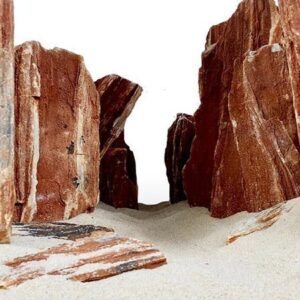 fossilized wood / wood stone