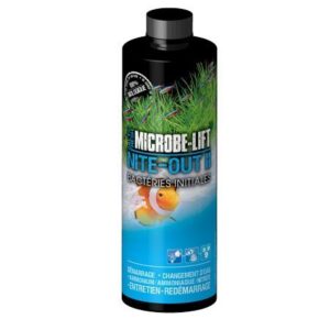 microbe-lift nite-out II bactéries pour lancement aquarium