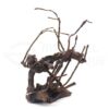 arbre de racine