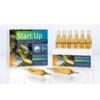 prodibio start up 12 ampoules bactéries aquarium