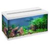 Aquarium Eheim AquaStart 54 litres blanc