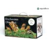 AquaDeco Pack d'Ohko Stone pour aquarium jusqu'à 80L