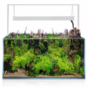 Aquael ultrascape set 90 snow