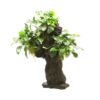 Arbre Mbuna L 25 x 16 x 46 cm