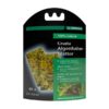 Dennerle Feuilles de nourriture aux algues - 40 feuilles