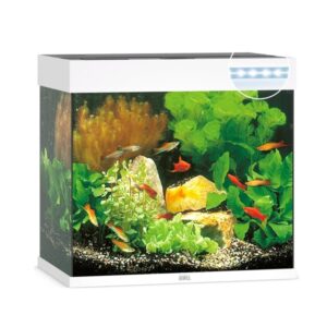 Aquarium Juwel Lido 120 Blanc