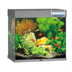 Aquarium Juwel Lido 120 Gris