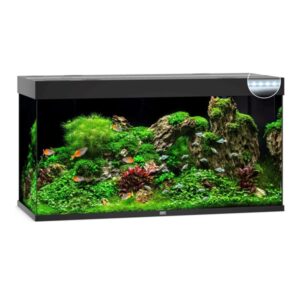 Aquarium Juwel Rio 350 Noir