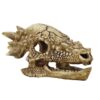 Crâne de T-Rex M - 12,4 x 16,7 x 9 cm