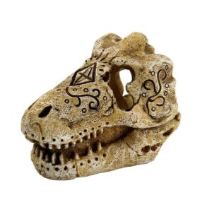 Crâne de T-Rex S - 4,6 x 6,9 x 5,5 cm