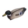 Oase Figurine bassin Canard colvert mâle