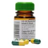 Dennerle Capsules de Démarrage BIO CO2 x5