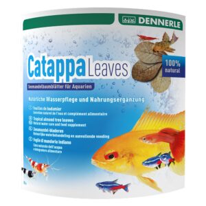 Dennerle Catappa Leaves - Feuilles de Catappa x10