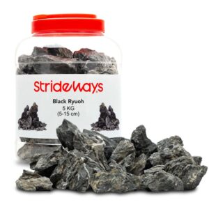 Strideways Black Ryuoh - Bouteille de 5 kg
