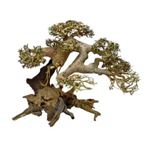 SuperFish Bonsai DriftWood L