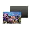 SuperFish Deco Poster A