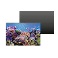SuperFish Deco Poster A