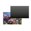 SuperFish Deco Poster A