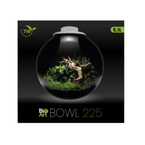 BioArt Bowl 285 Blanc - Terrarium 5,1 L