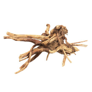 BioArt Spider Wood 10-15 cm