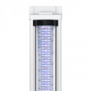 Rampe LED Easy LED 2.0 pour Aquatlantis Aqua Tower 120/163