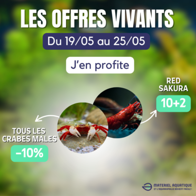 promo vivant