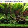 Aménagement de plantes 03 tropica layout 108