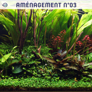 Aménagement de plantes 03 tropica layout 108