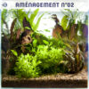 Aménagement de plantes 02 tropica layout 43