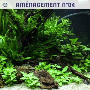Aménagement de Plantes n°04 (120L) Tropica Layout 68